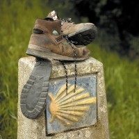 El calzado y la importancia de los calcetines